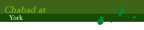 yorkcollege.jpg